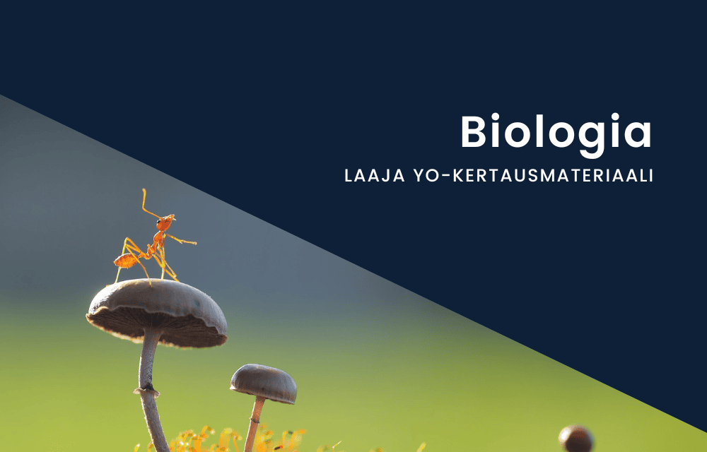 Laaja yo-kertaus biologia